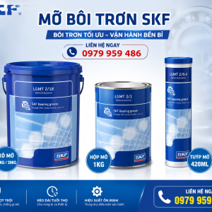 SKF LMCG 1